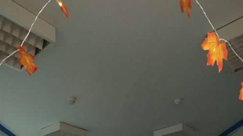 Полювання на вампірів у цирку, або традиційний Гелловін 2024 у NetLS